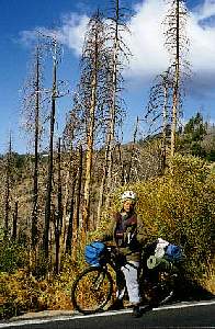 Yosemite-Rosangela, kurz Yos-Ros