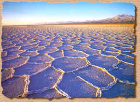 Salar de Atacama - Chile Homepage