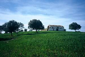 House in the country