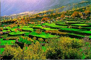 Hunza Valley